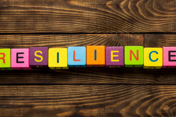 Resilience